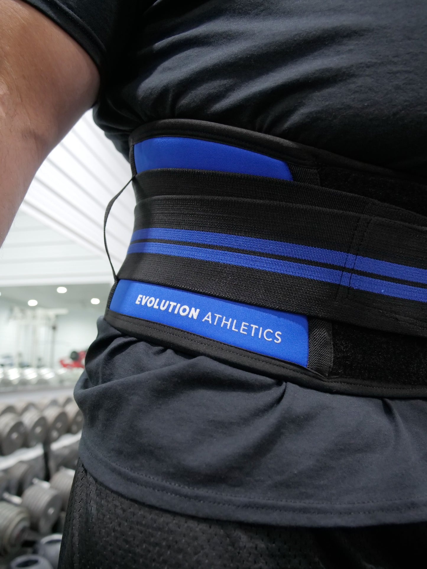 BLUE EVOLUTION SUPPORT BELT